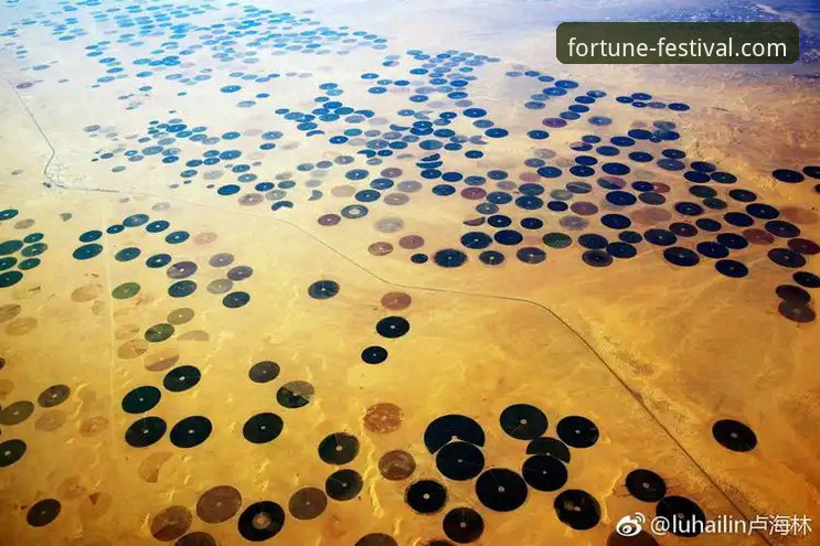 沙漠天堂前的“中东困局”：顶尖网球选手的意外考验详解